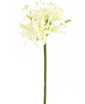 Fleur artificielle Nerine 70 cm blanc