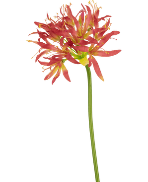 Fleur artificielle Nerine 70 cm fuchsia