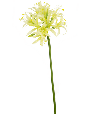 Fleur artificielle Nerine 70 cm verte