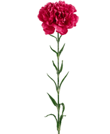 Fleur artificielle Oeillet 69 cm rose vif