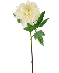 Fleur artificielle Pivoine 61 cm blanc