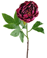 Fleur artificielle Pivoine 77 cm aubergine