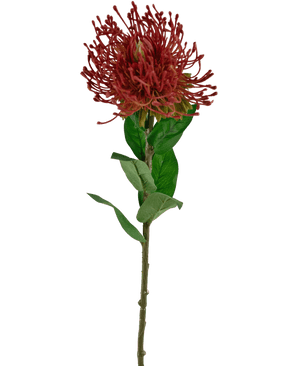 Fleur artificielle Protea 73 cm rouge