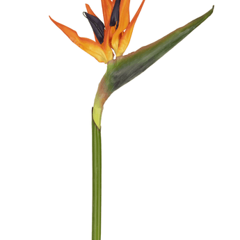 Fleur artificielle Strelitzia 80 cm rouge/mauve