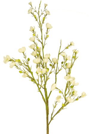 Fleur artificielle Wild Waxflower 85 cm crème