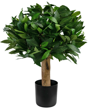 Plante artificielle Laurier d30 cm UV