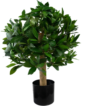 Plante artificielle Laurier d40 cm UV