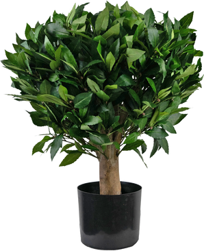 Plante artificielle Laurier d65 cm UV