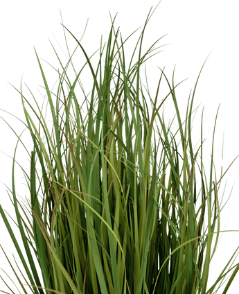 Gazon artificiel Dogtail onion grass Bran 90 cm ignifugé