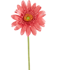 Gerbera artificiel 53 cm rose