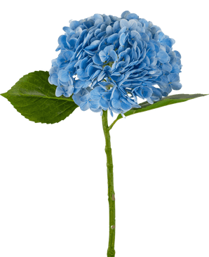 Hortensia artificiel "Annabelle" Real Touch Bleu 55 cm