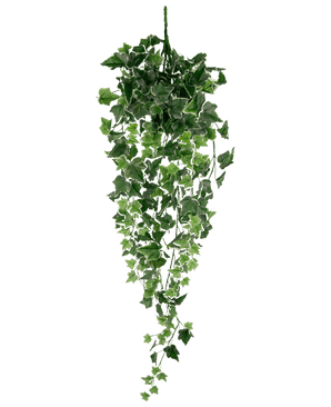 Lierre artificiel 70 cm vert/blanc