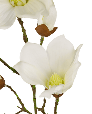 Magnolia artificiel Real Touch White 72cm