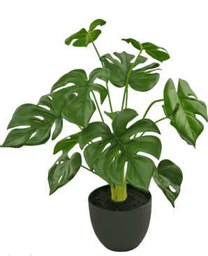 Monstera artificiel 42 cm dans un pot d'ornement noir