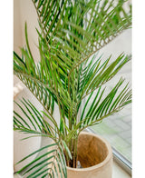 Palmier artificiel Areca 150 cm