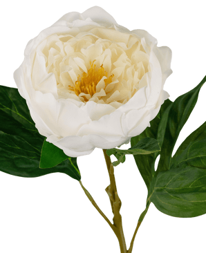 Pivoine artificielle Real Touch White 58cm