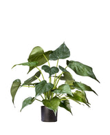 Plante artificielle Alocasia 51 cm