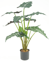 Plante artificielle Alocasia 67 cm