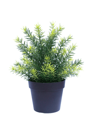 Plante artificielle Asparagus en pot 23 cm UV