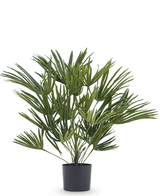 Plante artificielle Baby Palm Fan en pot 50 cm