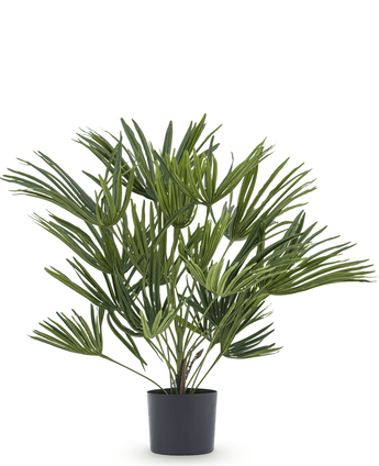 Plante artificielle Baby Palm Fan en pot 50 cm