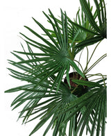 Plante artificielle Baby Palm Fan en pot 50 cm