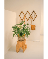 Plante artificielle Baby Palm Fan en pot 50 cm