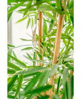 Plante artificielle Bambou Deluxe 150 cm