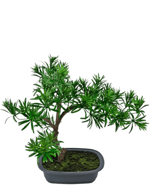 Plante artificielle Bonsai Podocarpus 40 cm