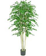 Plante artificielle Bouleau brut 210 cm