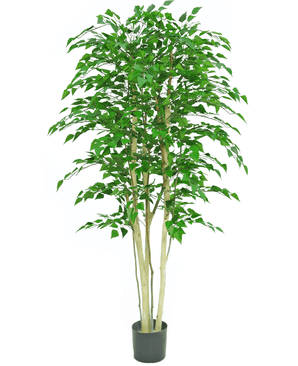 Plante artificielle Bouleau brut 210 cm