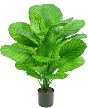 Plante artificielle Calathea 72 cm