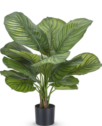 Plante artificielle Calathea Fasciata 53 cm en pot