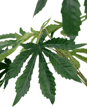 Plante artificielle Chanvre Cannabis Feuilles 60 cm