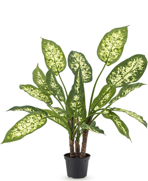 Plante artificielle Dieffenbachia 60 cm