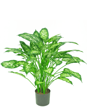 Plante artificielle Dieffenbachia 75 cm