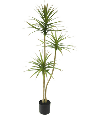 Plante artificielle Dracaena Fragnans 150 cm