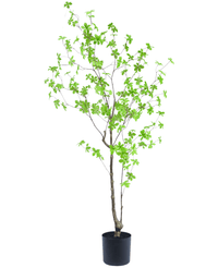 Plante artificielle Enkianthus 150 cm