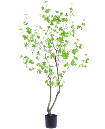 Plante artificielle Enkianthus 180 cm