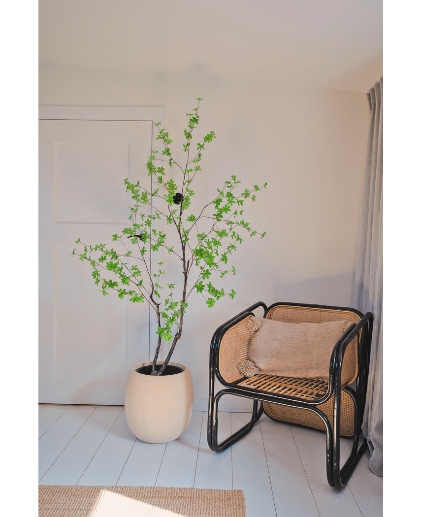 Plante artificielle Enkianthus 180 cm