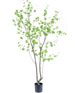 Plante artificielle Enkianthus 210 cm