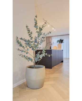 Plante artificielle Eucalyptus 150 cm