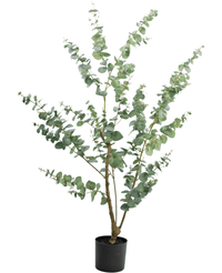 Plante artificielle Eucalyptus 150 cm