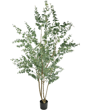 Plante artificielle Eucalyptus 240 cm