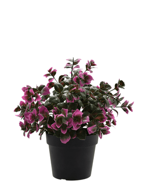 Plante artificielle Eucalyptus violet en pot 22 cm UV