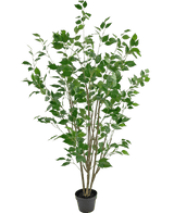 Plante artificielle Ficus 150 cm