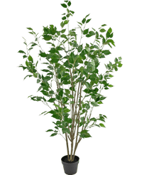 Plante artificielle Ficus 150 cm