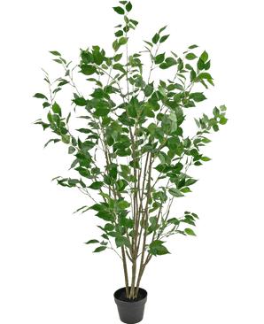 Plante artificielle Ficus 150 cm