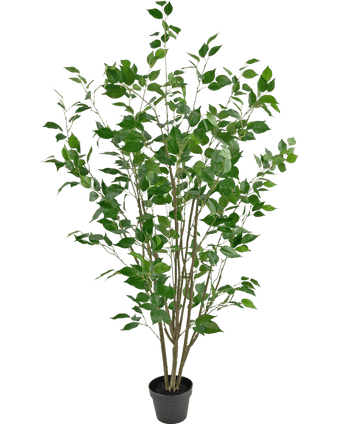 Plante artificielle Ficus 150 cm