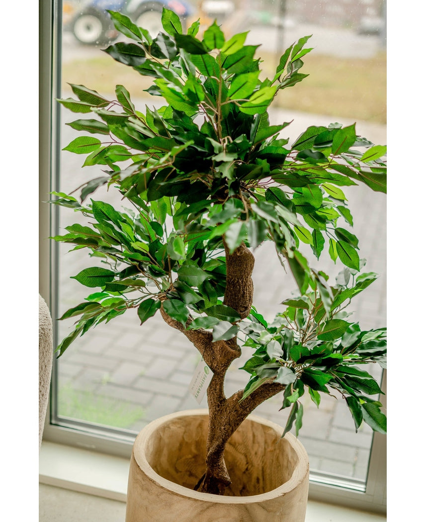 Plante artificielle Ficus Crazy 120 cm